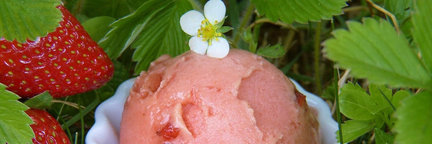 Joghurt-Erdbeer-Eis-1500x500-1