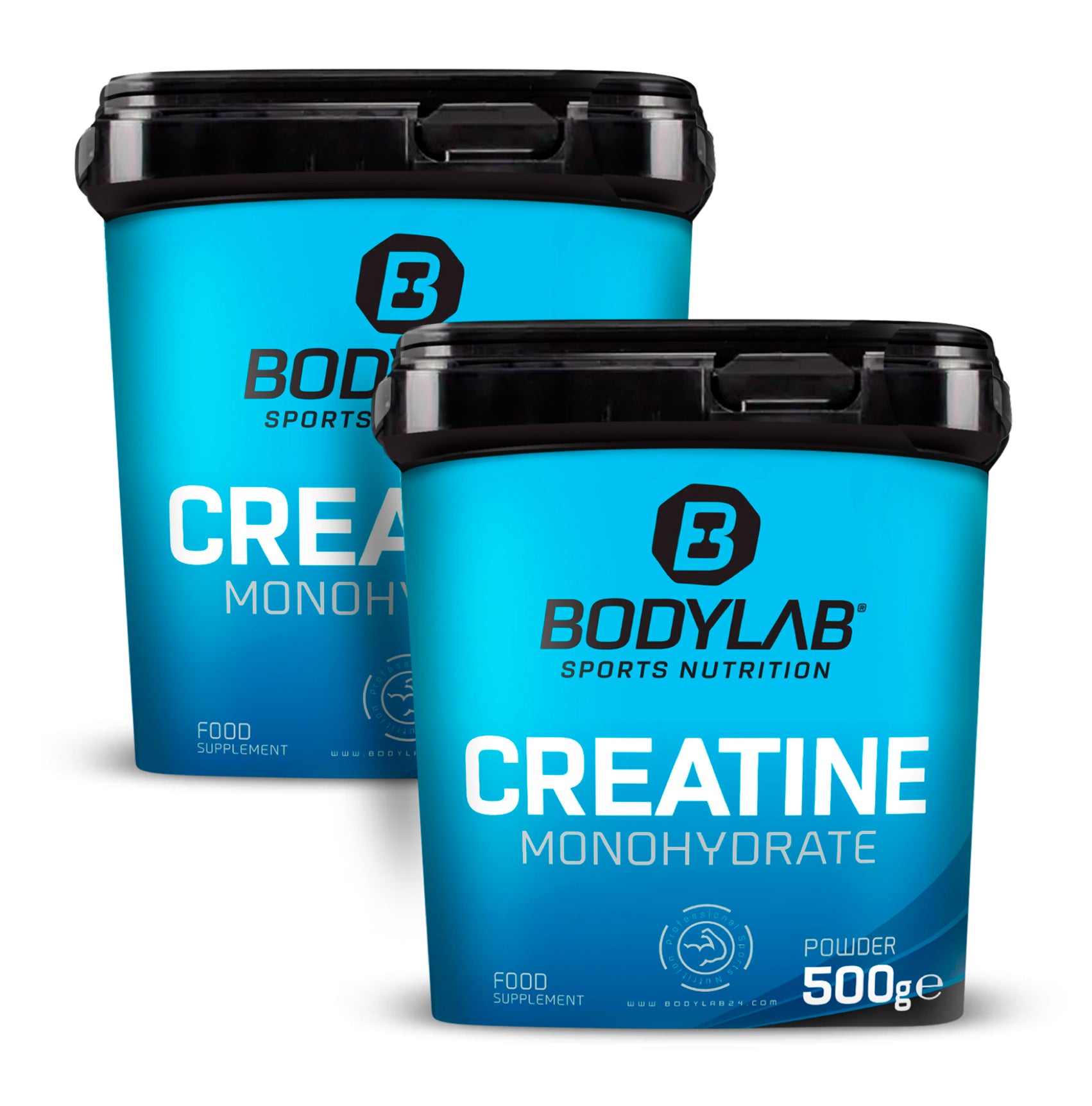 2 x Creatine Powder (500g)