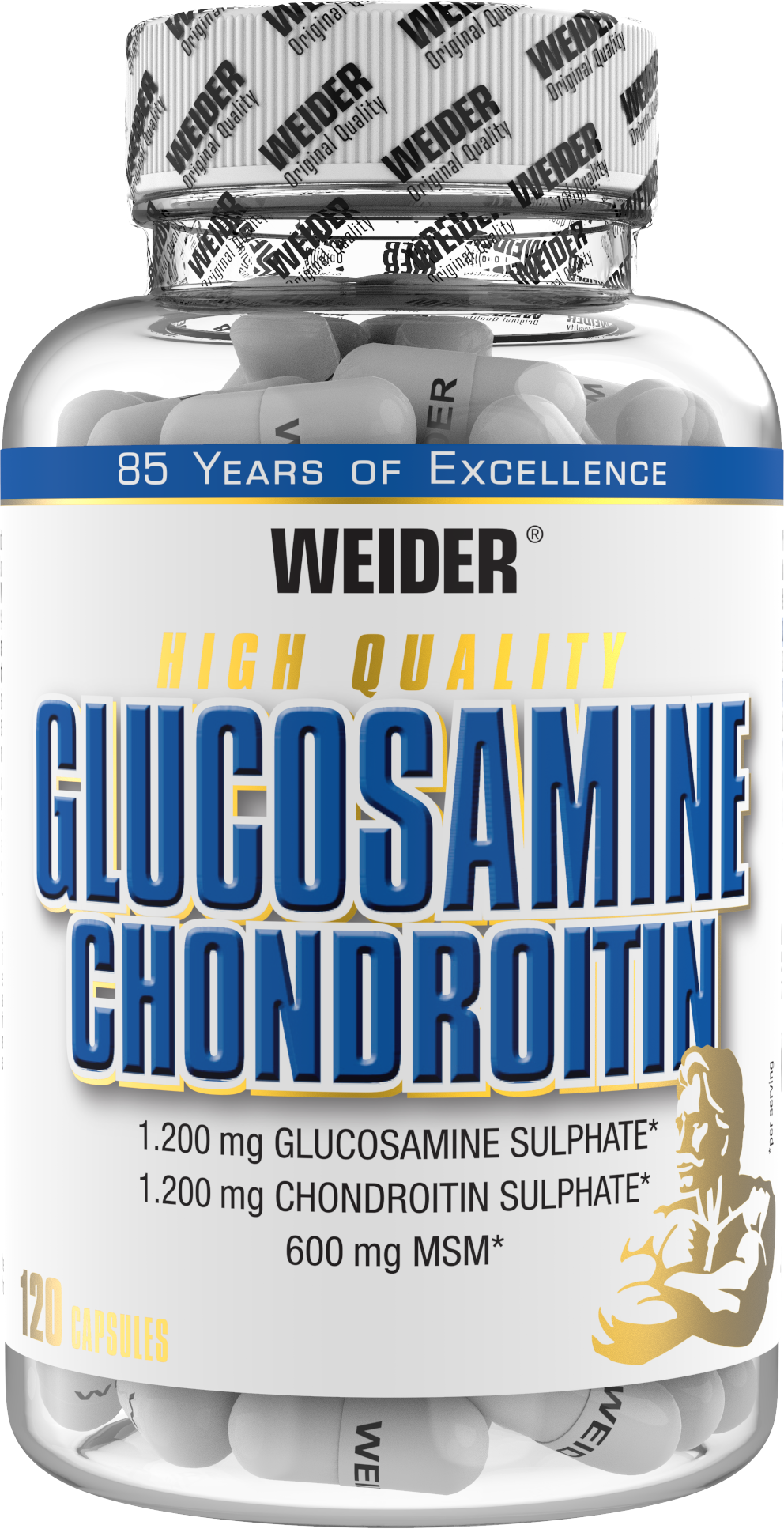 Glucosamine + Chondroitin Plus MSM (120 Kapseln)