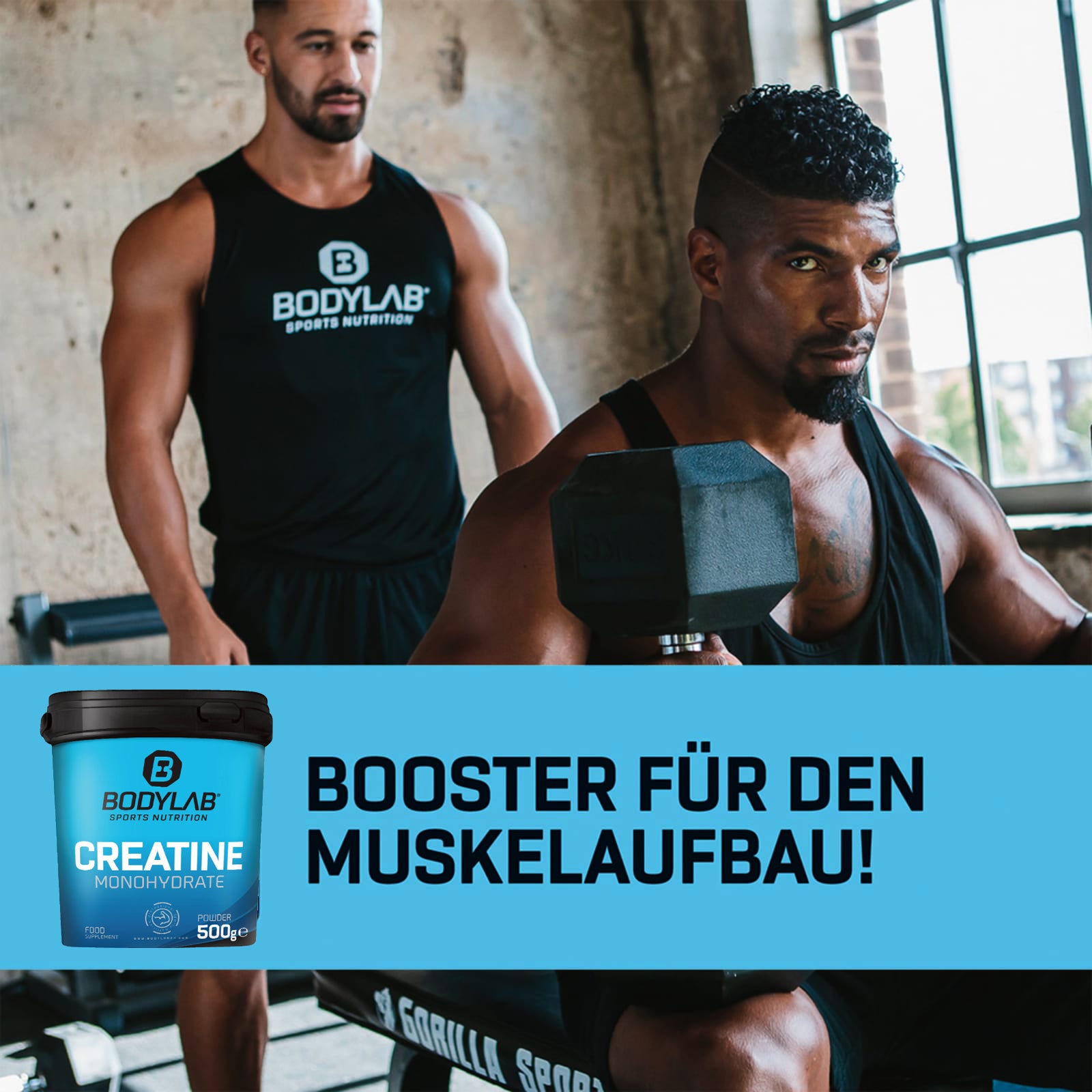 Creatine Powder (500g)