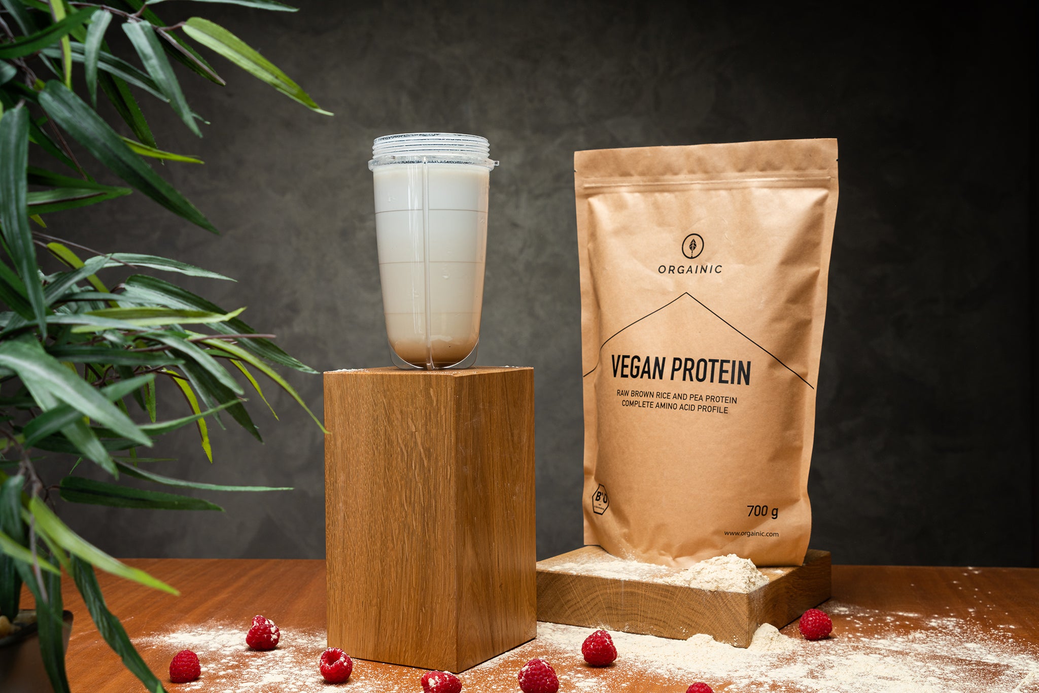 Vegan Protein bio (700g)