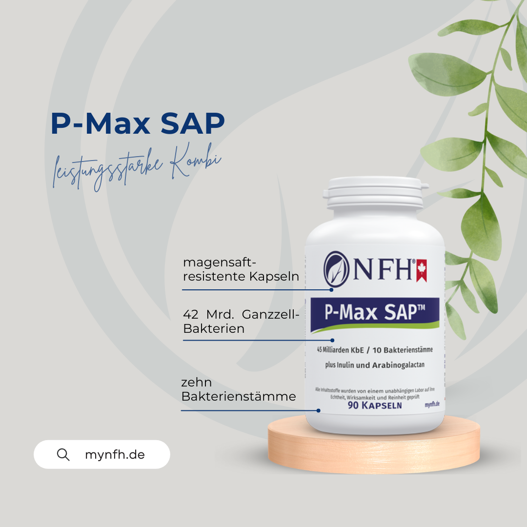 P-Max SAP (90 Kapseln)